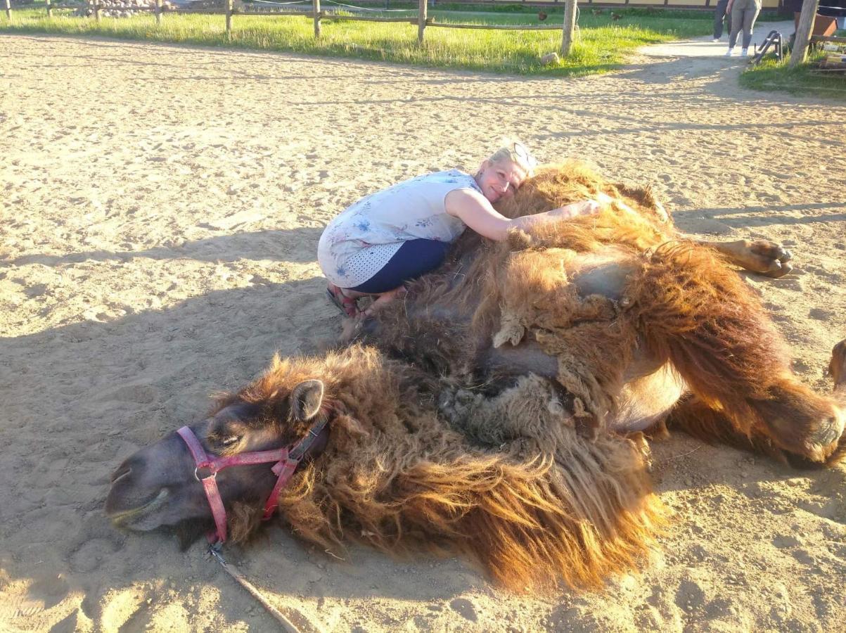Pensjonat Przy Stajni Kierzkowo  Buitenkant foto
