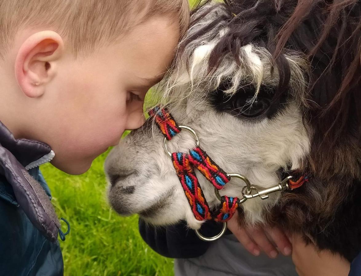 Pensjonat Przy Stajni Kierzkowo  Buitenkant foto