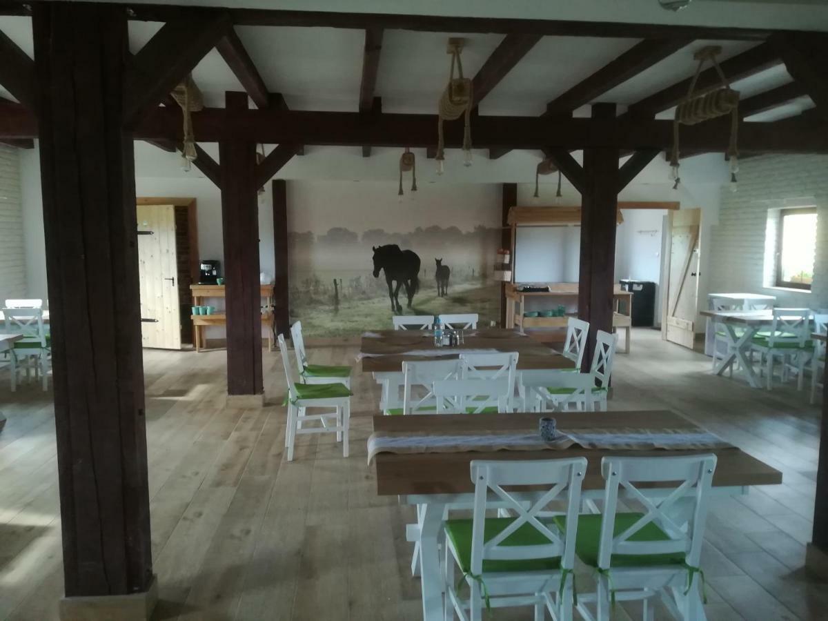 Pensjonat Przy Stajni Kierzkowo  Buitenkant foto