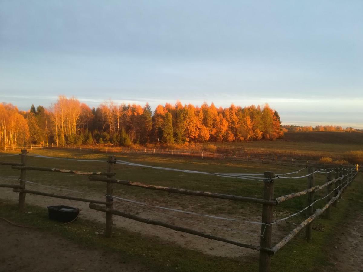 Pensjonat Przy Stajni Kierzkowo  Buitenkant foto
