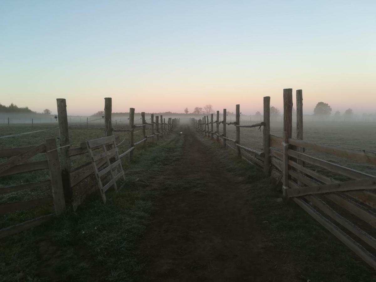 Pensjonat Przy Stajni Kierzkowo  Buitenkant foto