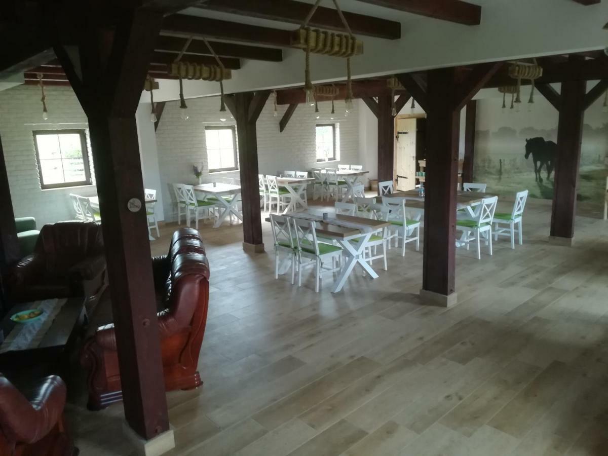 Pensjonat Przy Stajni Kierzkowo  Buitenkant foto
