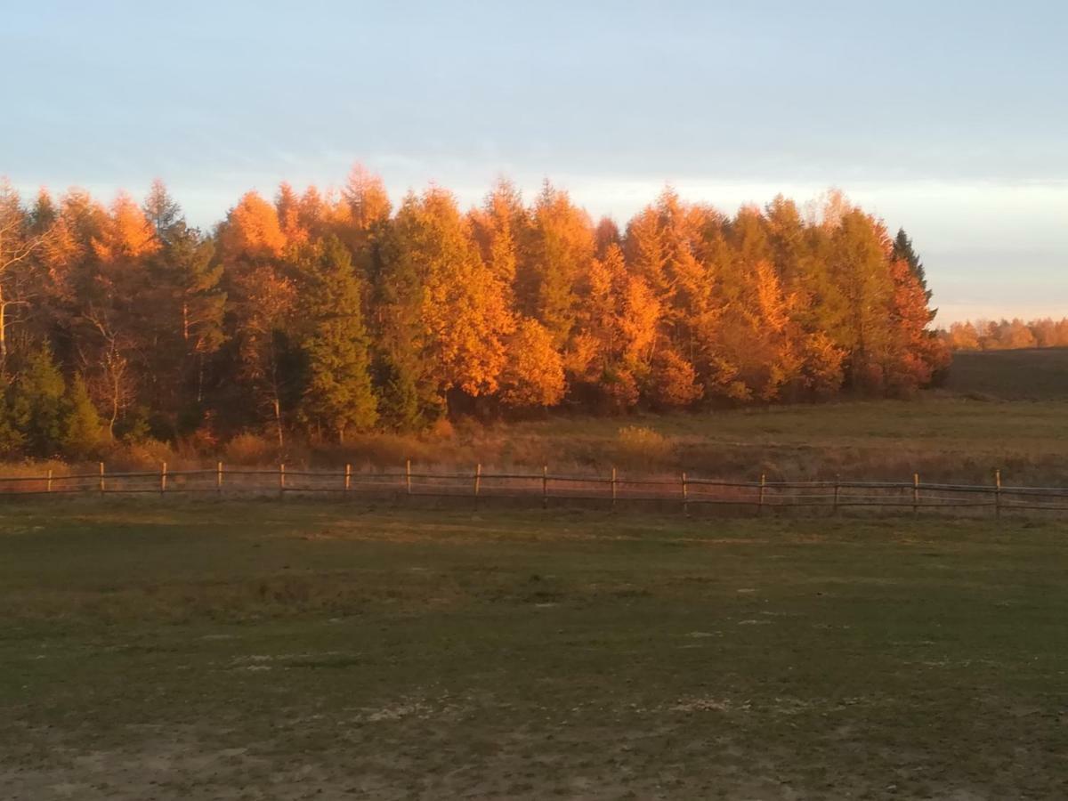 Pensjonat Przy Stajni Kierzkowo  Buitenkant foto