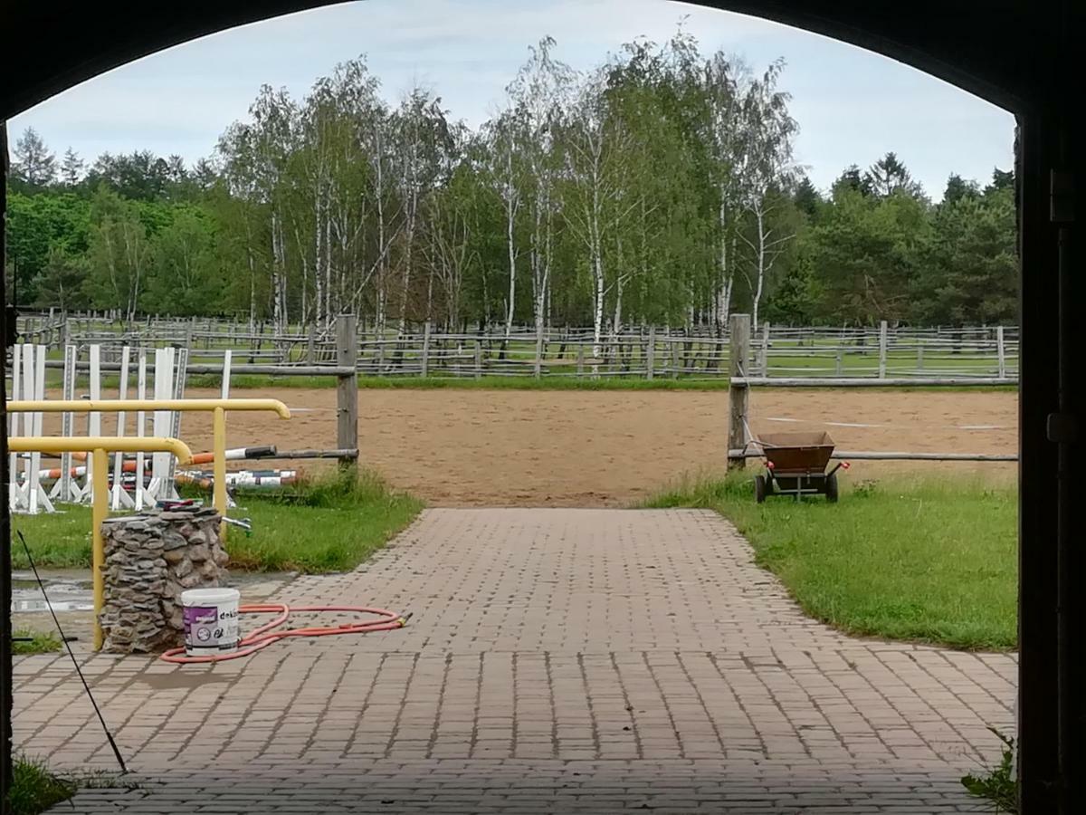 Pensjonat Przy Stajni Kierzkowo  Buitenkant foto