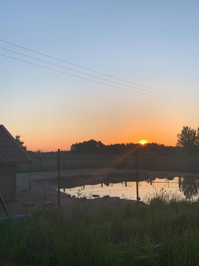 Pensjonat Przy Stajni Kierzkowo  Buitenkant foto